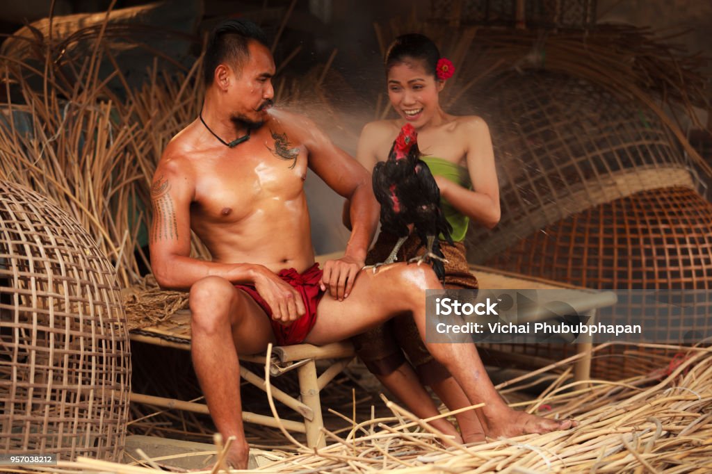 Asiatique Thai vie rurale traditionnelle tous les jours, une surprises homme asiatique est proche de la femme en soufflant l’eau à un coq de combat. - Photo de Poulet - Volaille domestique libre de droits