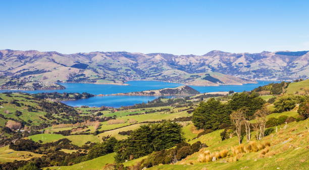 istock The rolling hills and harbour of Akaroa 957042014