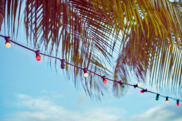 istock Palm tree and party lights at tropical beach 957045524