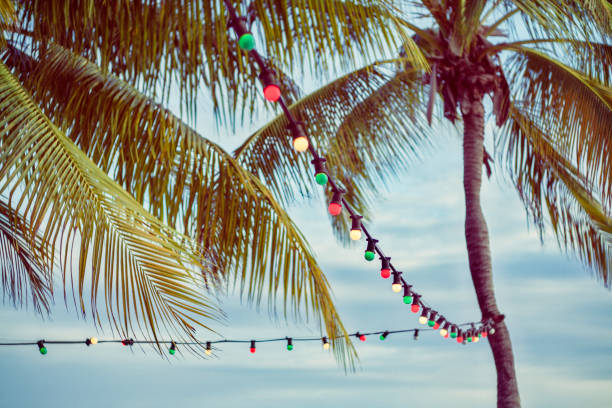 istock Palm tree and party lights at tropical beach 957045538