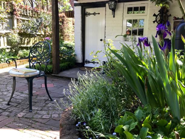 istock An English cottage garden 957049154