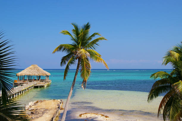 Belize resort relaxation Palm trees and dock at a resort in Ambergris Caye Belize cay stock pictures, royalty-free photos & images