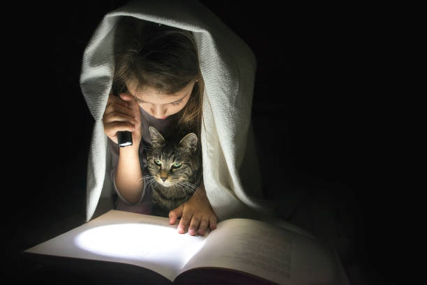istock Girl with a flashlight under the blanket reading a book in the dark. 957050290