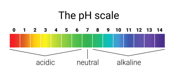 ph scale. infographic acid-base balance. scale for chemical analysis acid base. ph scale. infographic acid-base balance. scale for chemical analysis acid base. vector illustration. colorful graph for test hydroxide stock illustrations