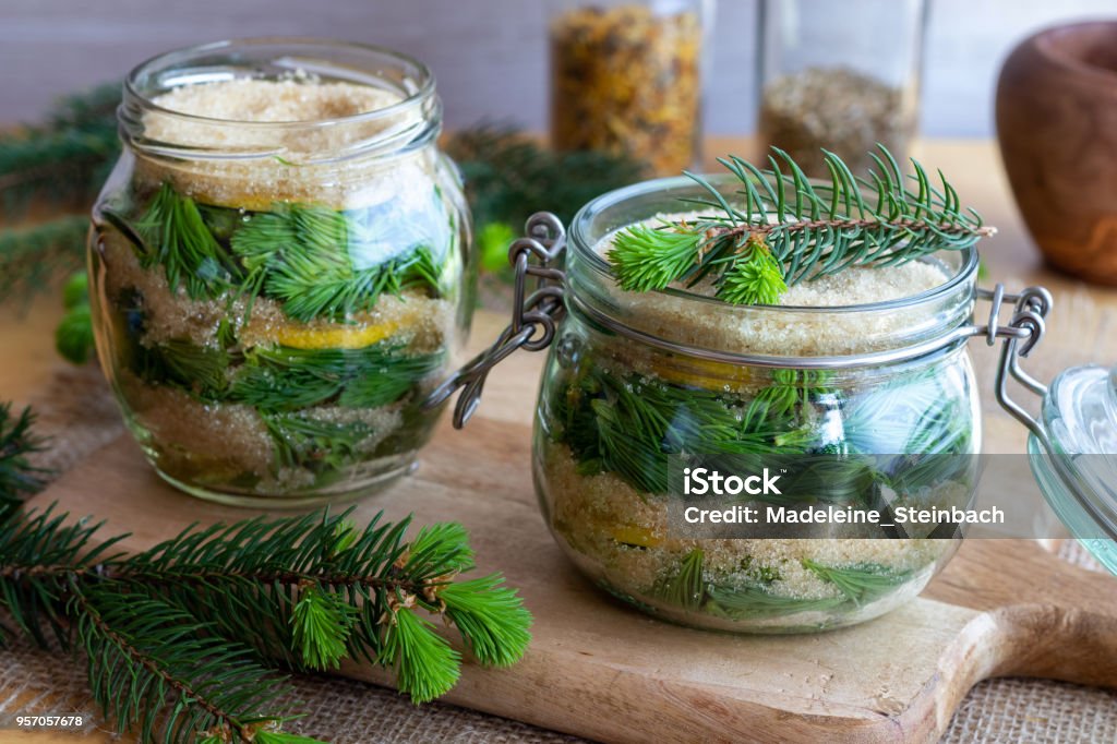 Two jars filled with young spruce tips, lemon and cane sugar, to prepare homemade syrup Two jars filled with young spruce tips, lemon and cane sugar, to prepare homemade syrup against cough Spruce Tree Stock Photo