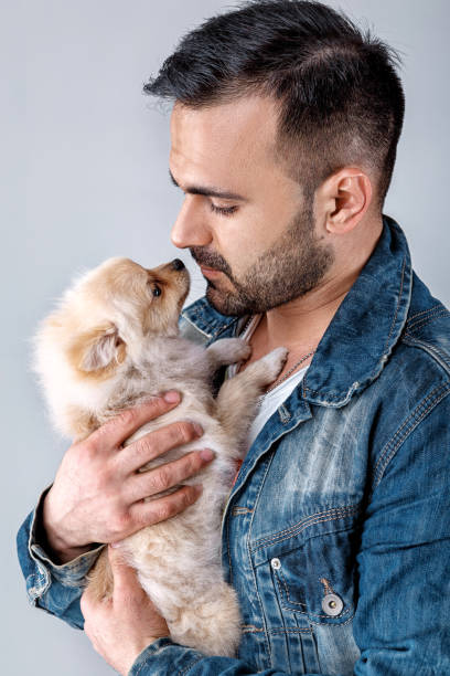 istock man in denim jacket holds pomeranian dog. 957065190