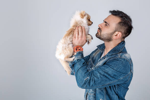 istock man in denim jacket holds pomeranian dog. 957065366