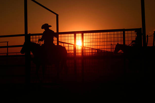 zwei cowboys texas - working horse stock-fotos und bilder