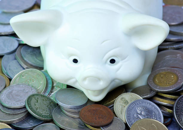 istock white piggy bank 957071914