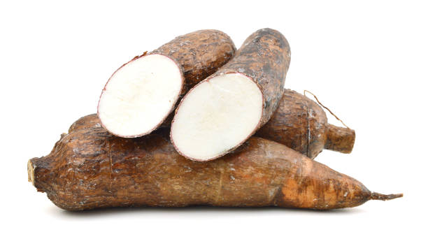 istock Yucca cassava roots, isolated on white 957073682