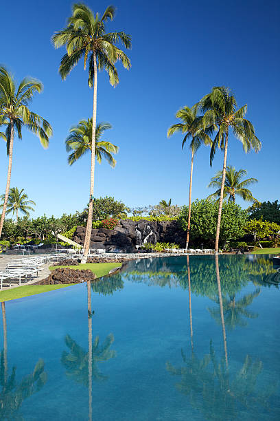 istock Tropical landscape in spa resort 95708056