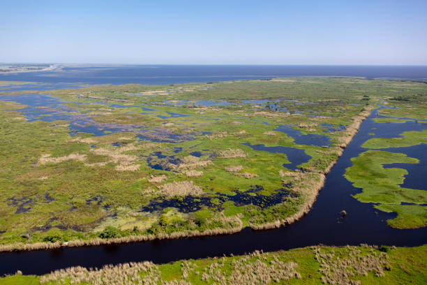 istock Aerial view Lake Okeechobee 957080644