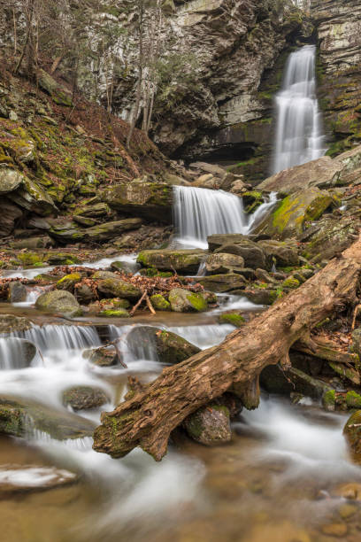 istock Silky Buttermilk Falls and Log 957080706