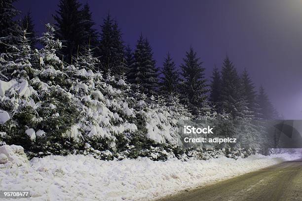 初めて雪のクリスマスツリーの夜 - かすみのストックフォトや画像を多数ご用意 - かすみ, カラー画像, バケーション