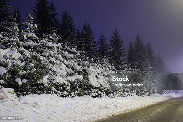 Primeira Neve Em Árvores De Natal À Noite - Fotografias de stock e mais imagens de Abeto - Abeto, Alpes Europeus, Ao Ar Livre