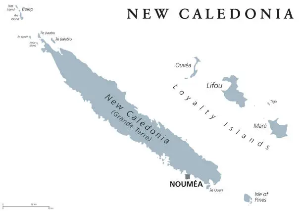 Vector illustration of New Caledonia political map gray