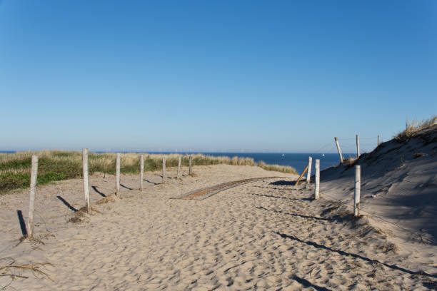 istock Path to the beach in Castricum 957087096
