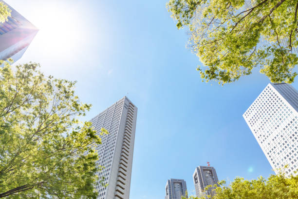 istock Shinjuku high-rise building group with fine weather 957087216