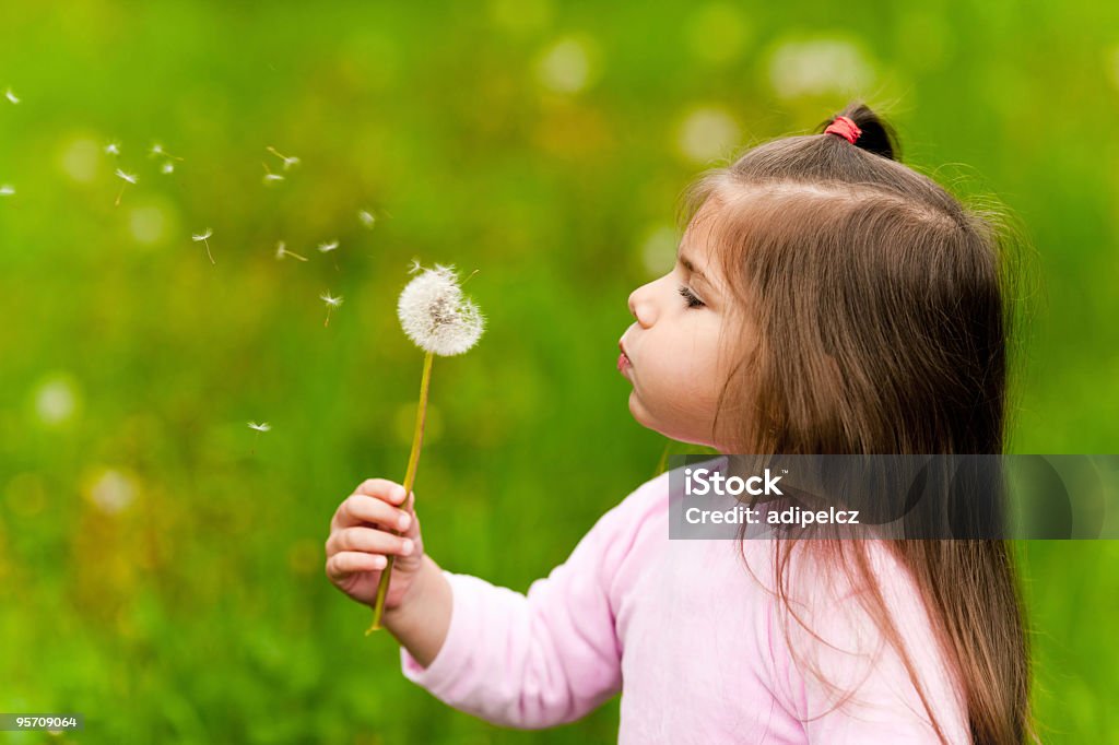 Petite fille bœuf une Fleur de pissenlit - Photo de Aspiration libre de droits