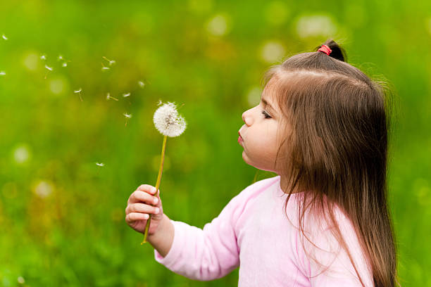 istock Little girl puffing a dandelion 95709064