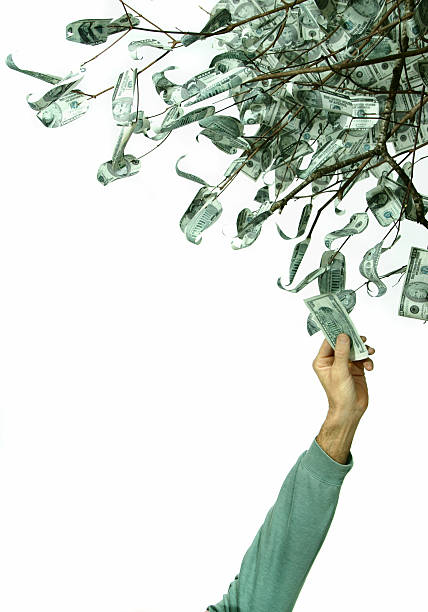 árbol de dinero 1 - money doesnt grow on trees money tree wealth paper currency fotografías e imágenes de stock