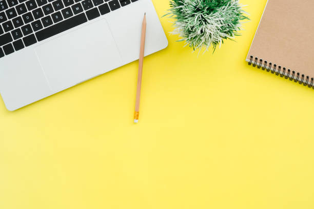 istock Minimal work space - Creative flat lay photo of workspace desk. Top view office desk with laptop, notebooks and plant copy space on color background. Top view with copy space, flat lay photography. 957095344