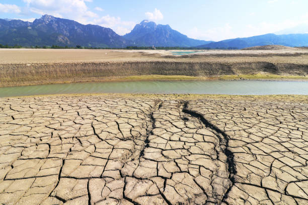 istock A small stream in a dried up lake in Bavaria 957096990