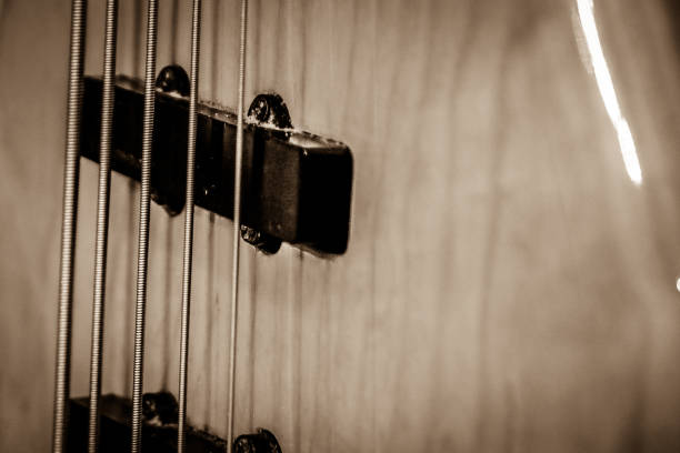 istock Close up of guitar pickups and strings 957100308