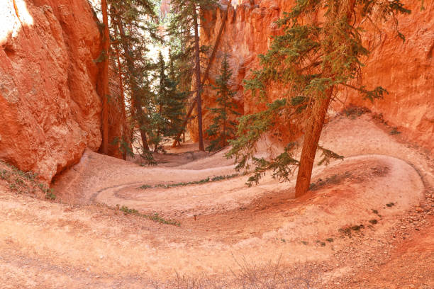 istock Bryce Canyon National Park. Switchbacks on Peekaboo Trail 957100474