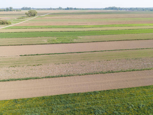 istock aerial view of green geometric agricultural fields 957100528