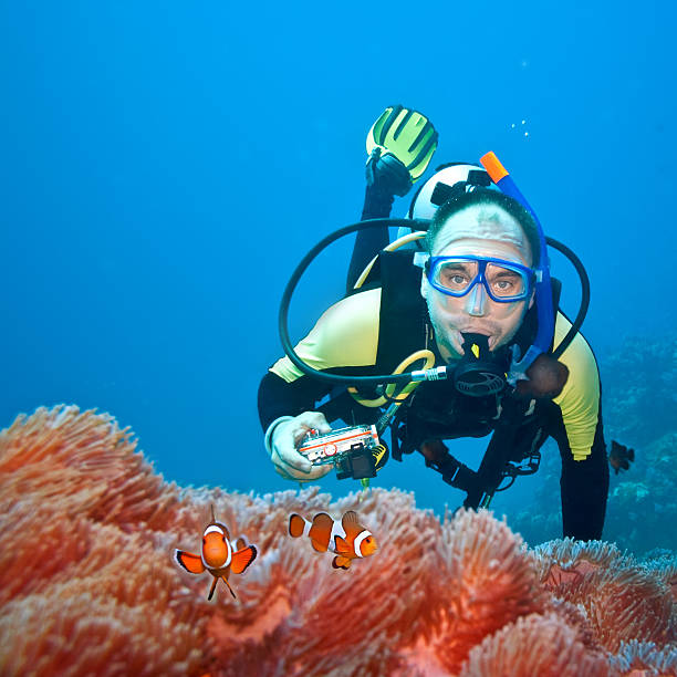 clownfishes とフォトグラファー - sea life andaman sea thailand damselfish ストックフォトと画像