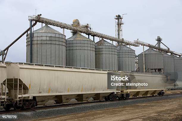 Silos Y La Agricultura Embudo De Coches Foto de stock y más banco de imágenes de Grano - Planta - Grano - Planta, Tren, Agricultura