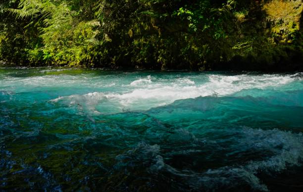 istock Little White Salmon River Pure 957109012