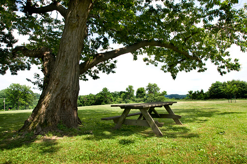 A wooden picnic table sits on the beach next to the water. The table is empty and the grass is green. The scene is peaceful and relaxing, with the sound of the waves in the background.