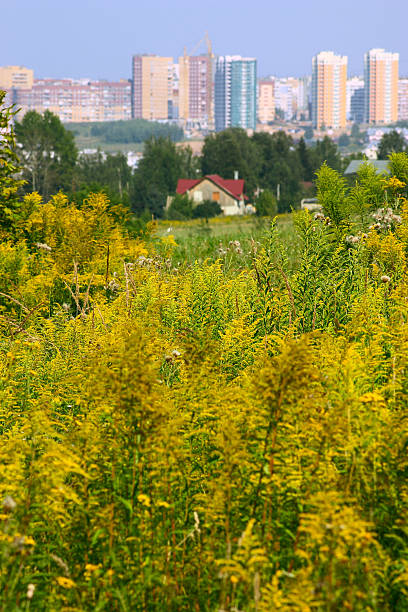 istock Rural against the industrial 95711347