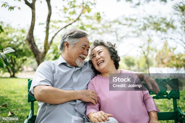 Healthy Senior Couple Relaxing Seats On The Bench In The Park Stock Photo - Download Image Now