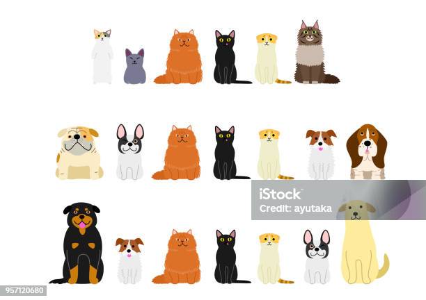 Chiens Et Chats Ensemble À La Frontière Vecteurs libres de droits et plus d'images vectorielles de Chat domestique - Chat domestique, Chien, Illustration