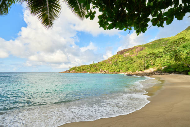 istock Anse major beach, Mahe, Seychelles 957124772