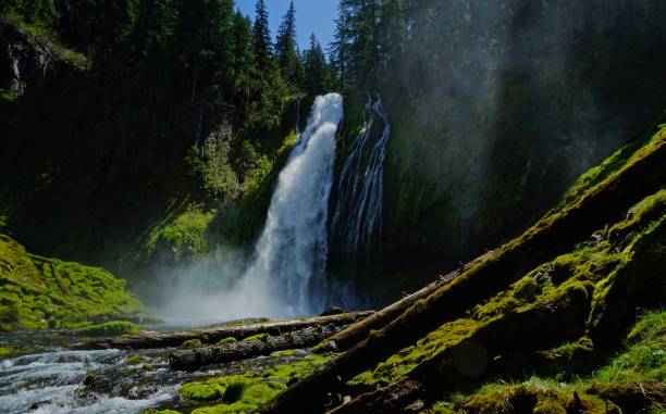 istock Lemolo Falls Natural Mystic 957125950