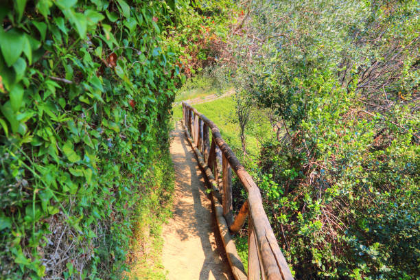 istock Scenic Vernazza shoreline 957128840