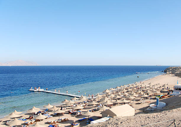 istock Beach at popular hotel in Sharm el Sheikh, Egypt 95712915