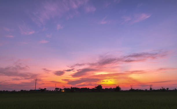 istock Beautiful twilight sky with paddy field 957129822