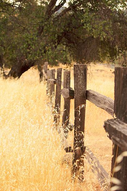 istock Old wood fence 95713287