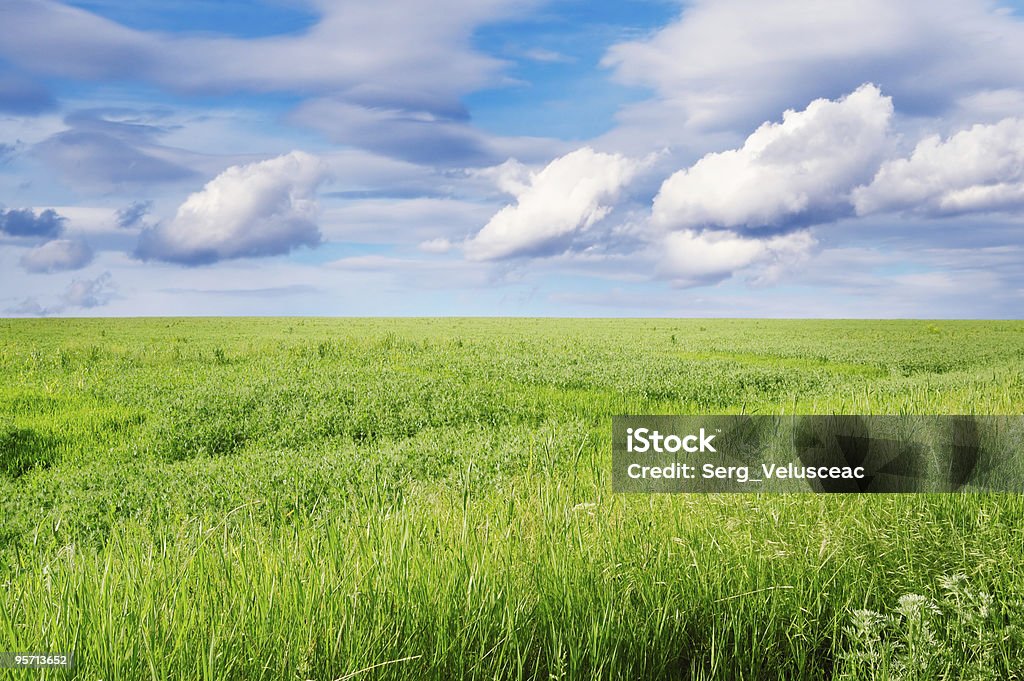 Primavera Campo - Royalty-free Acima Foto de stock