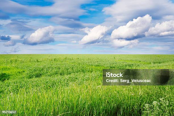 Primavera Campo - Fotografias de stock e mais imagens de Acima - Acima, Agricultura, Ajardinado