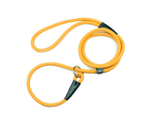 istock Yellow Pet leash on isolated white background. 957136940