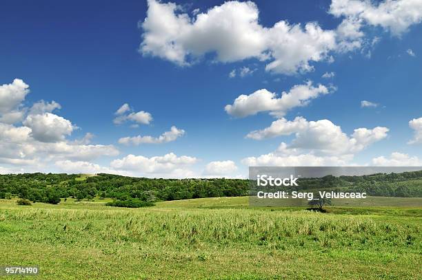 Hill - Fotografie stock e altre immagini di Albero - Albero, Ambientazione esterna, Bellezza naturale