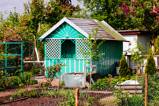 Allotment hut in the spring time