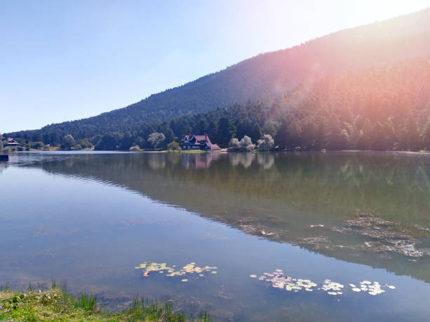 istock Abant lake in Turkey 957146792