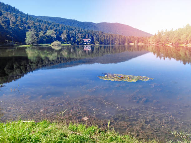 istock Abant lake in Turkey 957147094